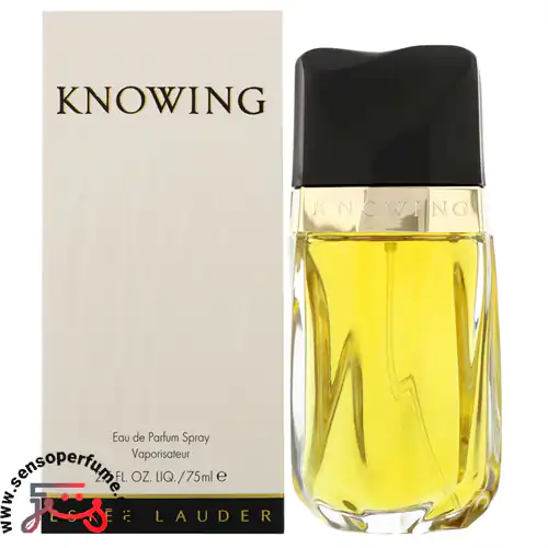 عطر ادکلن استی لودر نویینگ